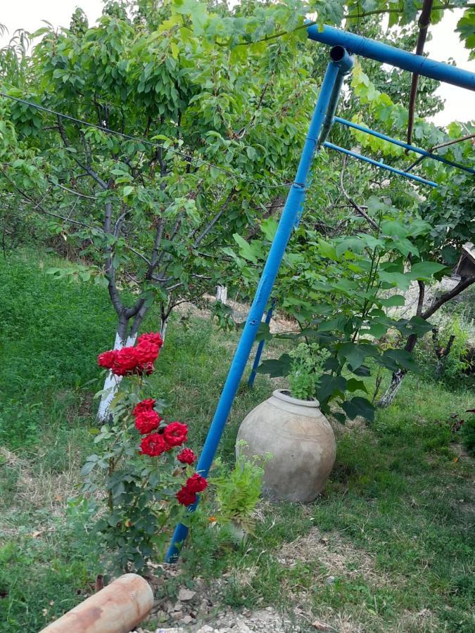 Ararat B&B Ch'iva Luaran gambar